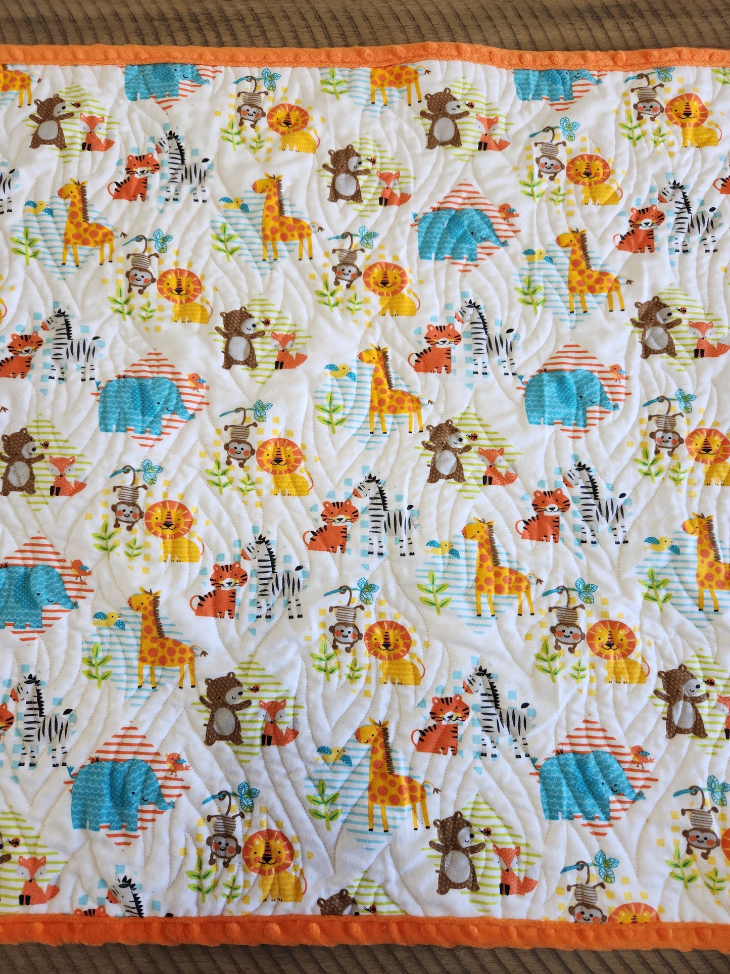 Baby Jungle Animals with Minky Binding