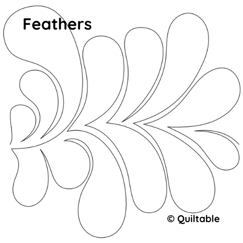 Feathers -- not for sale
