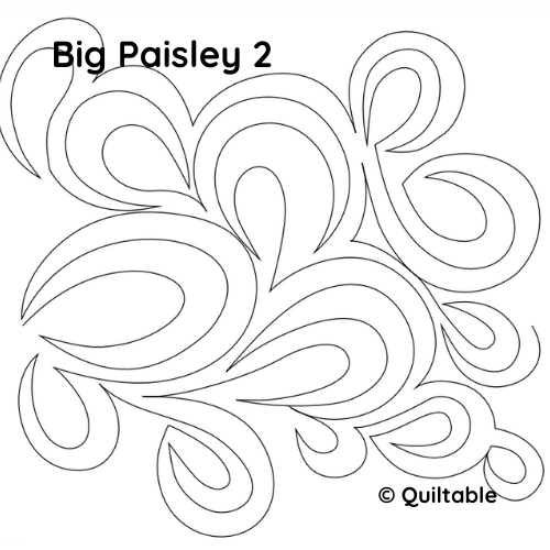 Big Paisley 2 -- not for sale